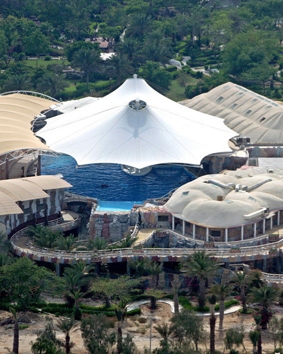 Dolphin Hotel